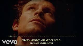 Shawn Mendes - Heart of Gold | Slow and Reverb | Relaxing Remix | 4K | HD