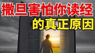 生命智慧 【撒旦害怕你读圣经的真正原因】l 装备生命