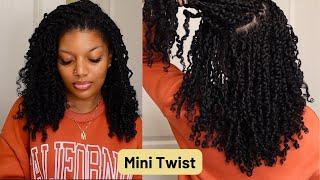 Mini Twist Tutorial! Natural Hair + Curly Hairstyles (Protective Style)