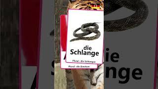 Die Tiere-3 #learngerman