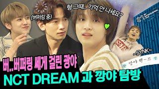 [EN/JP/ID] NCT DREAM과 오류 제대로 난 광야 아니 깡야 관광;; 어질어질어질 두통 ㅣ 시즌비시즌 시즌2 EP.3