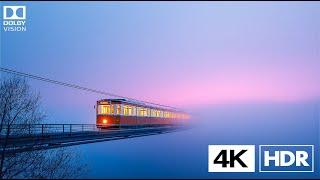 The Most REAL 4K HDR Nature Video | Dolby Vision in 60FPS ULTRA HD