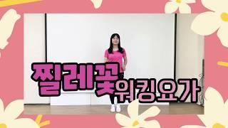 실버체조 찔레꽃