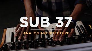 Sub 37 | Analog Architecture