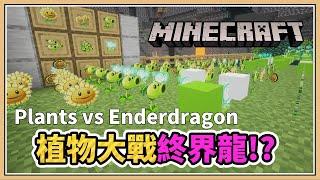 【Minecraft】植物大戰終界龍！？【鬼鬼】這你有玩過嗎？