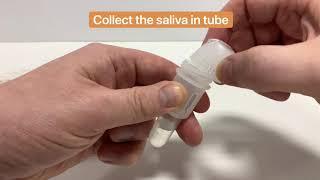 DOA Multi Drug Saliva Tests