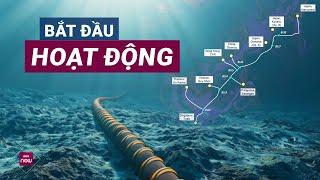 Internet Việt Nam "lột xác" với cáp quang biển ADC: "Siêu cao tốc" Internet, không lo đứt cáp nữa?