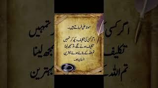 Hazrat Ali quotes