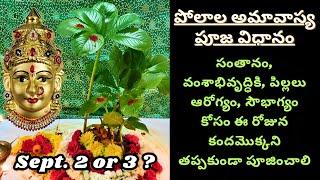 Polala Amavasya 2024 Pooja for children | Shravana amavasya | Kanda Mokka Pooja | పోలాల అమావాస్య పూజ