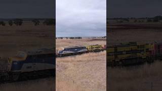 Drone Crash Into Tree While Chasing SSR Broad Gauge Grain Train P17 T363 B80 (6/2/2023) - PoathTV