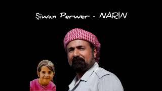 Şivan Perwer - NARİN