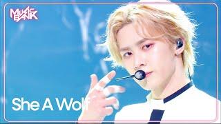 She A Wolf (Korean Ver.) - WayV 威神V 웨이션브이 [Music Bank] | KBS WORLD TV 240621