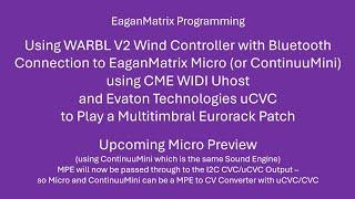 WARBLR V2 Wireless MPE Eurorack Using EaganMatrix Micro/Mini and uCVC