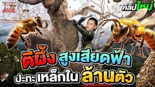 ภารกิจสูงเสียดฟ้า #พรานแม็ก ชาวนานักตีผึ้ง ตามล่าหาน้ำหวาน ฝ่าเหล็กในนับล้านตัว l SUPER100