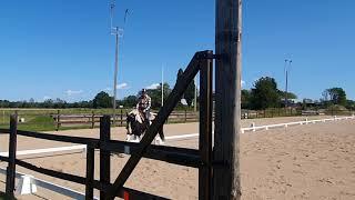 western dressage basic level 3.               22 aug 2021. Linda jakobsson,  Amor.