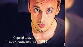 Сергей Шаманов - Так кричали птицы (cover)