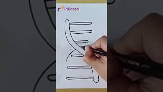 How to Draw a DNA Easy in Less Than One Minutes