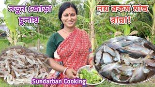 প্রথম নতুন জোড়া উননে নয় রকম মাছ রান্না করলাম দুপুরে! Sundarban Cooking