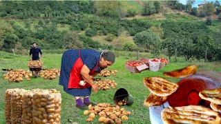LIFE HIGH IN THE MOUNTAINS! ONE FAMILY! NO NEIGHBORS