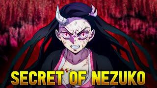 How NEZUKO Survived SUNLIGHT - Swordsmith Village Arc Ending Explained | Loginion