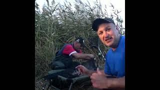 Здесь рыбы нет #shorts