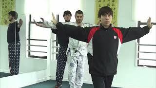 Brian Wang (USA) teaches wushu to JonTron & H3H3 Ethan (Clips)