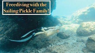 Episode 178 - Freediving and Blue Lagoons with the Sailing Pickle Family