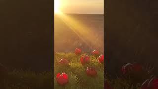 Закат , красота Крымской степи .