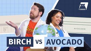 Avocado vs Birch - Which Is The Best Organic Mattress?