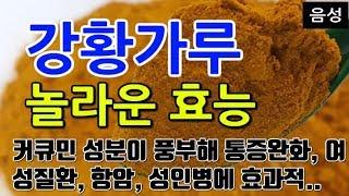 [강황 효능] 강황의 놀라운 효능, 매일 강황가루 한 스푼으로 면역력 강화!