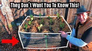 Pre-Built Raised Garden Bed Manufacturers Don't Want You To Know About This Gardening Hack!