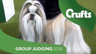 Utility Group Judging and Presentation | Crufts 2019