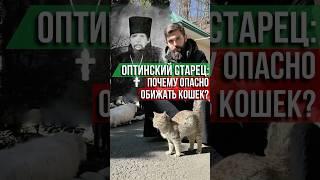 Оптинский старец: Почему опасно обижать кошек?#кошки #котики #НектарийОптинский #оптинскиестарцы