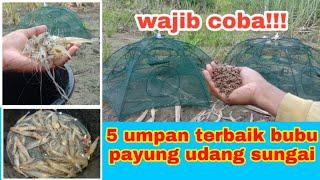 kumpulan umpan terbaik bubu payung udang sungai sudah teruji