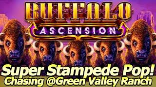 The Super Stampede Popped! Chasing Buffaloes at Green Valley Ranch casino in Las Vegas!