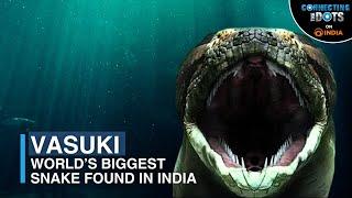 From Myth to Reality: World’s Biggest Snake ‘Vasuki’ Discovered in India | Connecting The Dots