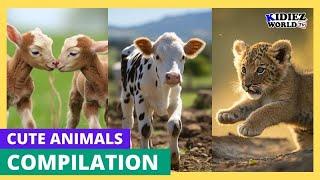 Cute Baby Animals Videos for Kids #1 | Amazing World of Young Animals with Relaxing Music