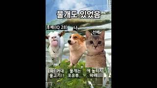 대학생 고양이들의 일본 여행 (도쿄 선샤인시티 수족관편)