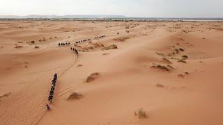 UNE Footprints in the Sahara