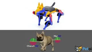 Bulldog vs Robot Dog Bittle - Are They Alike? | PetoiCamp