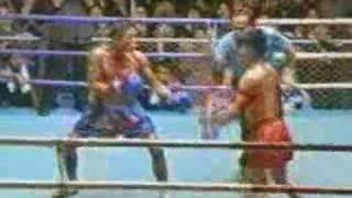 Funny Muay Thai Video