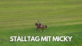 STALLTAG MIT MICKY