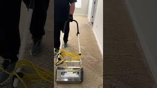 Scrubbing soiled carpet before carpet cleaning #carpetrestoration #columbusga #jetstreamclean