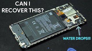 Trying to RECOVER A DEAD Smartphone due to water damage!