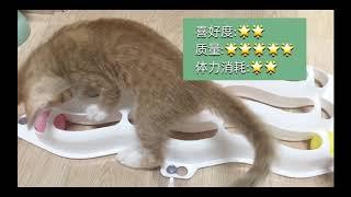 逗猫棒？猫咪玩具？猫咪视频？能让猫主子体力“透支”的是....?