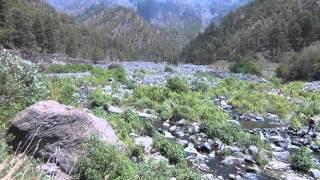 Ruta Los Brecitos -Taburiente.Caldera de Taburiente. Isla de La Palma