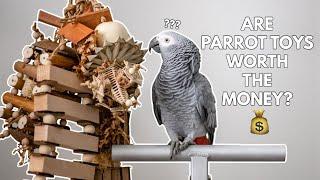 Do Pet Parrots Really Need Toys? (Or are they just too expensive )