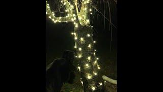 CHRISTMAS LIGHT LIFE HACKS! HOW TO HANG THEM BETTER!! TIPS AND TRICKS SHOW OFF FOR SANTA HO! HO! HO!