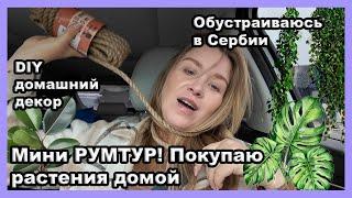 МИНИ РУМТУР: Обустраиваю дом, декор DIY, покупаю растения