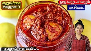 எலுமிச்சை ஊறுகாய் perfect-ஆக வரும் ரகசியம் | How To Make Lemon Pickle | PICKLE RECIPE